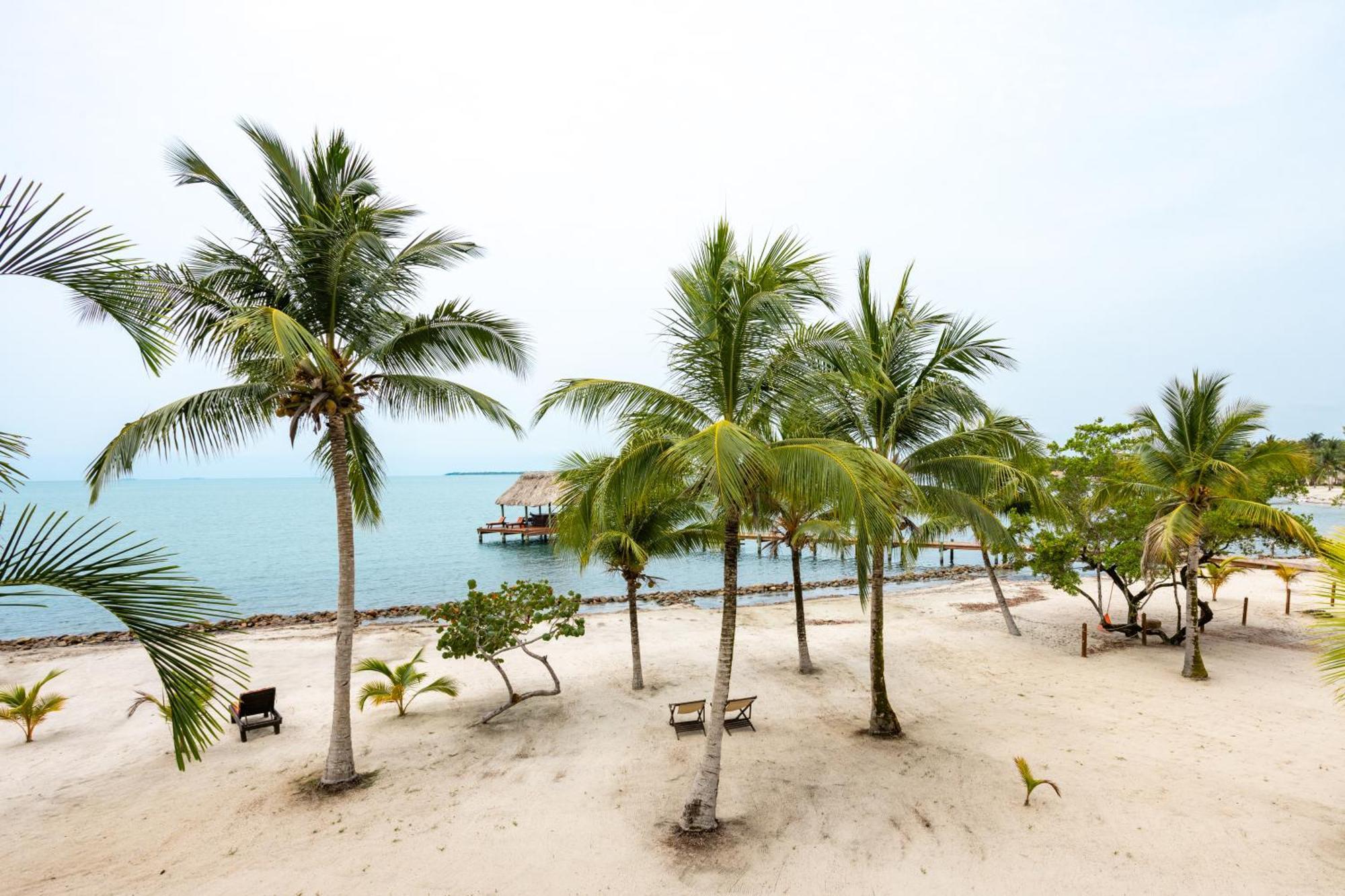 The Villas At Cocoplum Placencia エクステリア 写真